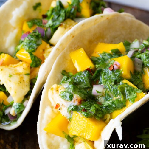 Juicy, delicious citrus marinated grilled halibut fish tacos with a chimichurri