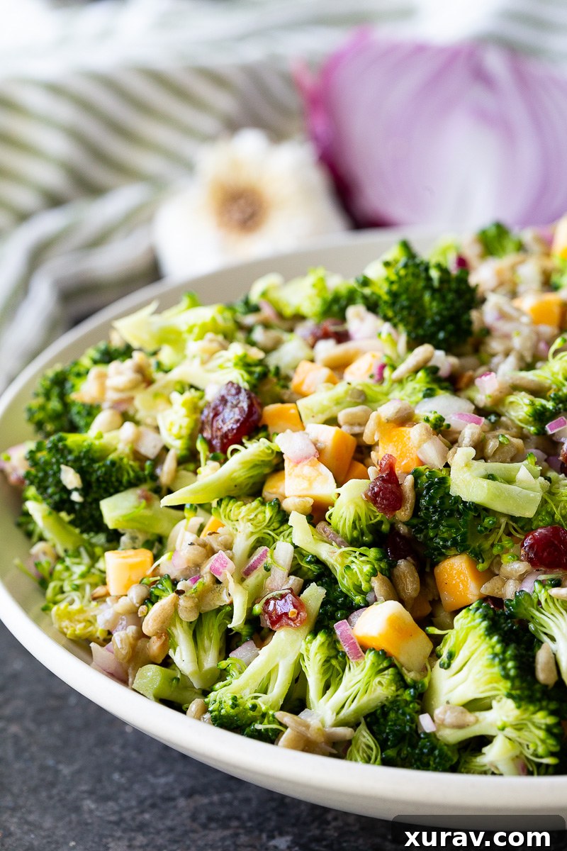 Fresh, crunchy broccoli salad tossed with sunflower seeds, cheese cubes, and dried cranberries, all coated in a tangy honey mustard dressing. Easy, make-ahead, and perfect for potlucks or healthy lunches!