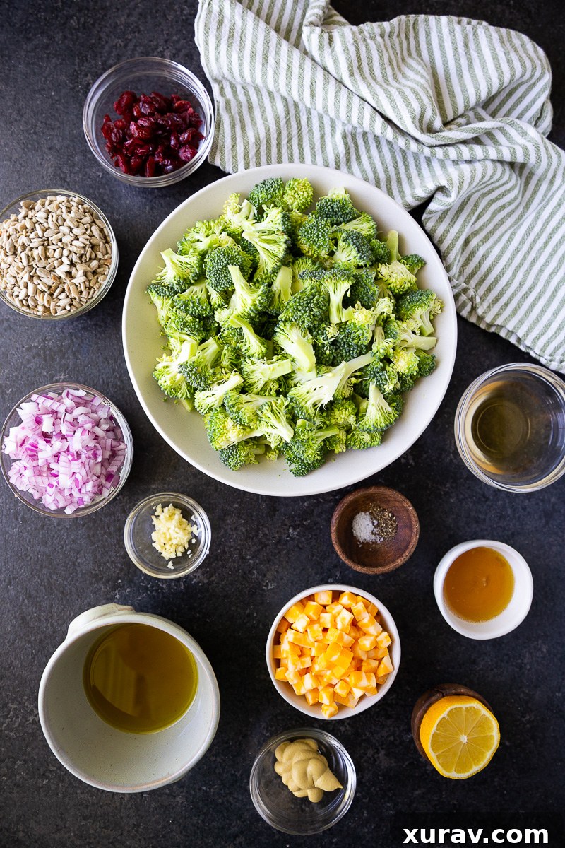 This Broccoli Salad is a flavor-packed side dish you’ll crave all year long! Made with crunchy broccoli, sweet cranberries, Monterey Jack cheese, and sunflower seeds—all tossed in a zingy honey mustard dressing. Fresh, fast, and make-ahead friendly!