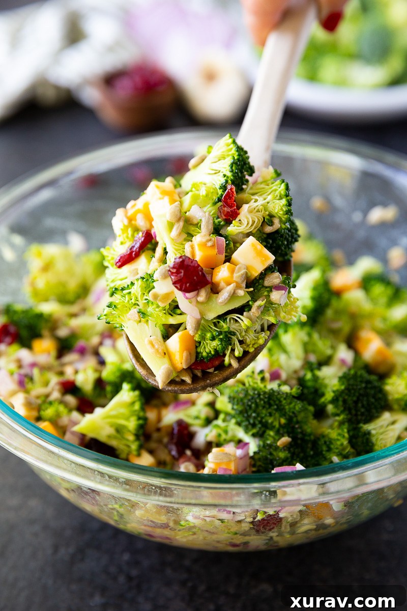 A vibrant bowl of broccoli salad featuring crisp florets, dried cranberries, sunflower seeds, red onion, and cheese cubes, all tossed in a tangy honey mustard dressing—fresh, colorful, and ready to serve.