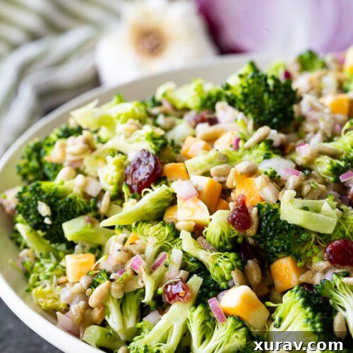 Fresh, crunchy broccoli salad tossed with sunflower seeds, cheese cubes, and dried cranberries, all coated in a tangy honey mustard dressing. Easy, make-ahead, and perfect for potlucks or healthy lunches!