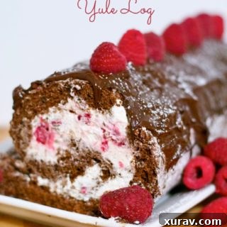 Finished Raspberry Chocolate Yule Log ready for serving