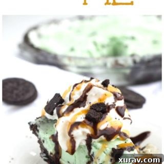Copycat Asphalt Pie with OREO and Mint Chocolate Chip Ice Cream